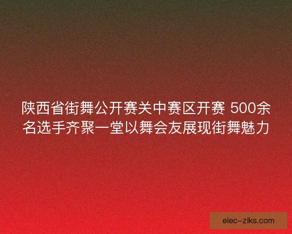陕西省街舞公开赛关中赛区开赛 500余名选手齐聚一堂以舞会友展现街舞魅力