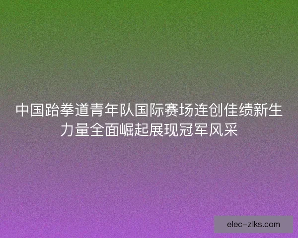 中国跆拳道青年队国际赛场连创佳绩新生力量全面崛起展现冠军风采